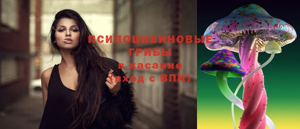spice Осташков
