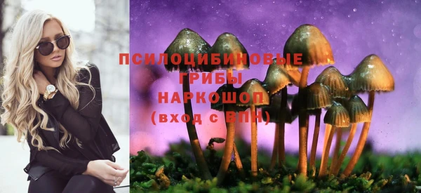 мескалин Осинники