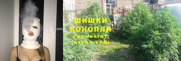 spice Осташков
