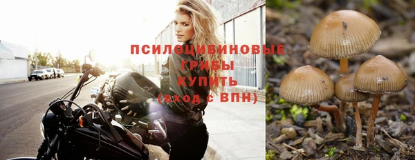 бошки Остров