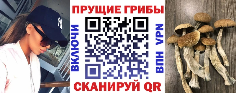цена наркотик  Бахчисарай  Псилоцибиновые грибы ЛСД 