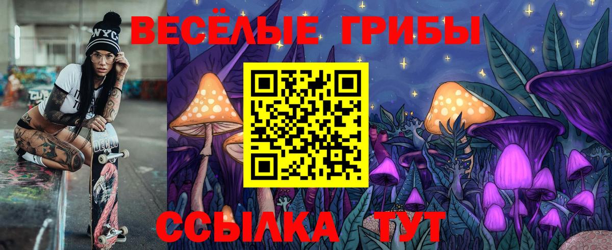 Галлюциногенные грибы MAGIC MUSHROOMS Бахчисарай