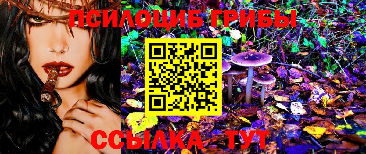 Псилоцибиновые грибы MAGIC MUSHROOMS  как найти наркотики  Бахчисарай  Вход с VPN 